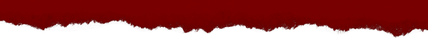 ACUTALITES