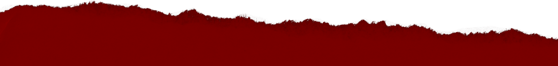 ACUTALITES